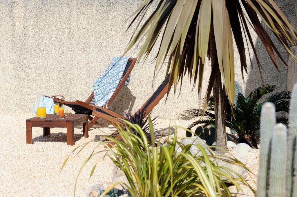 Hotel Les Mimosas Argeles-sur-Mer Ngoại thất bức ảnh